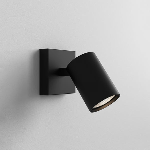 Ascoli Single — in situ
