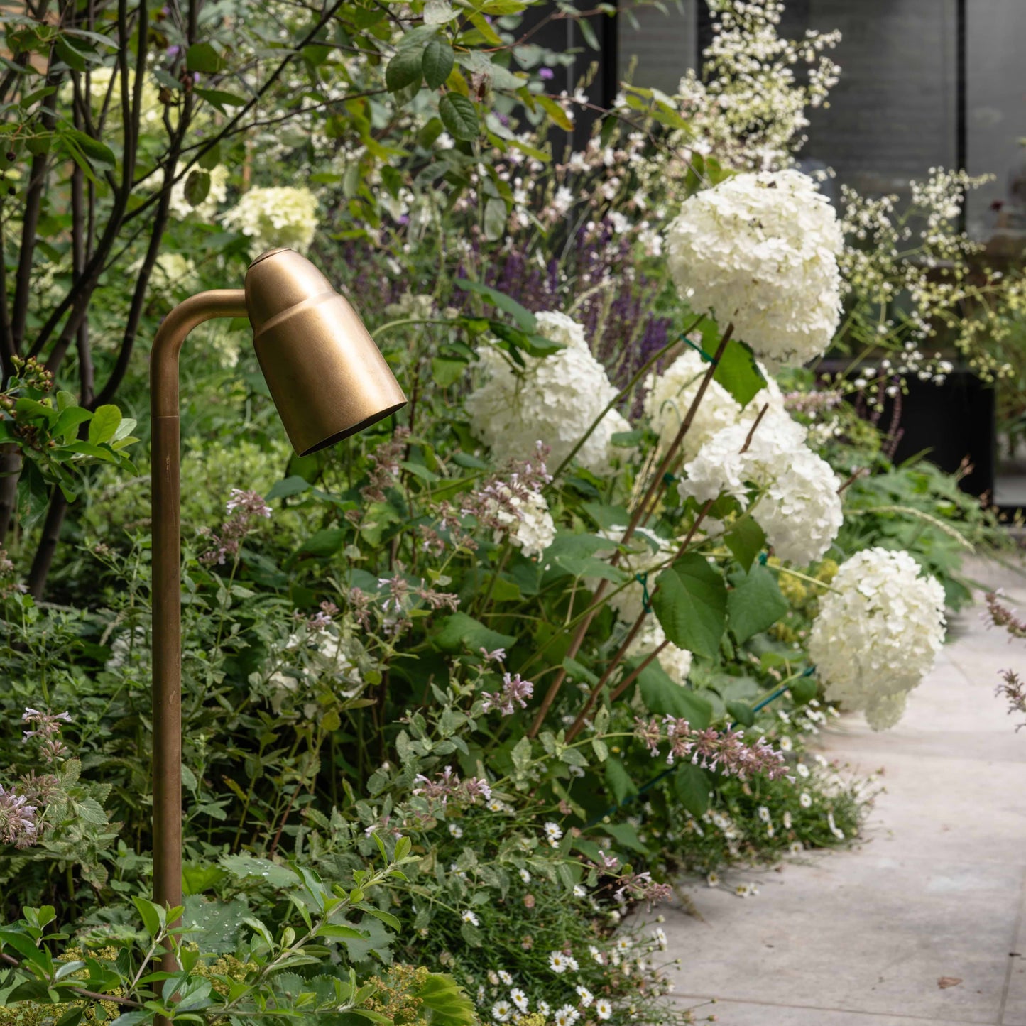 Ealing Path Spotlight