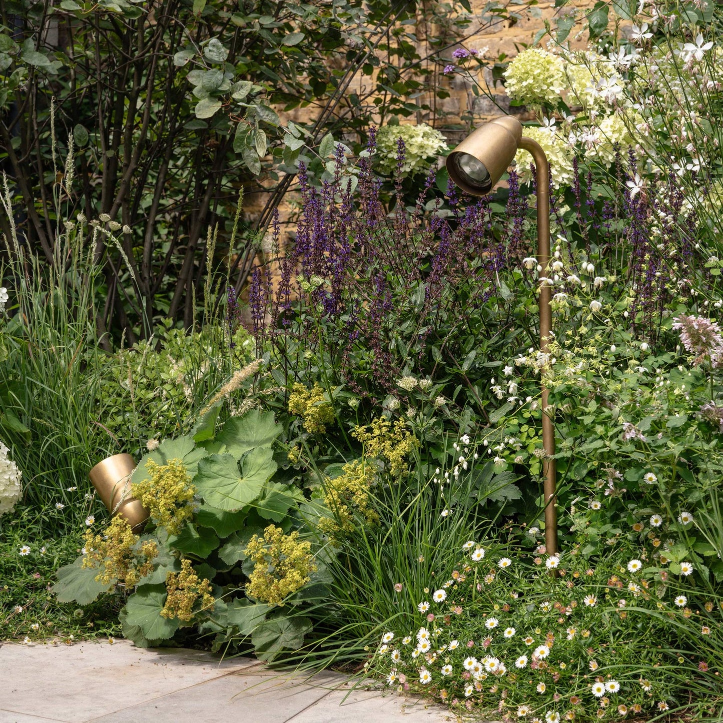 Ealing Path Spotlight