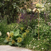 Ealing Path Spotlight