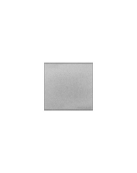 Single Blank Plate / Winchester