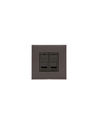 2 Gang RJ45 / Winchester