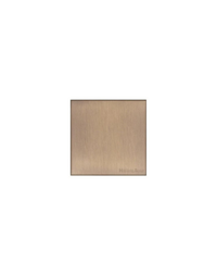 Single Blank Plate / Winchester
