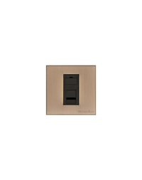 1 Gang RJ45 / Winchester