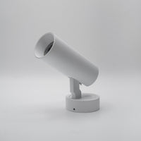 RAY Lighting Spot Mini Surface | Dynamic