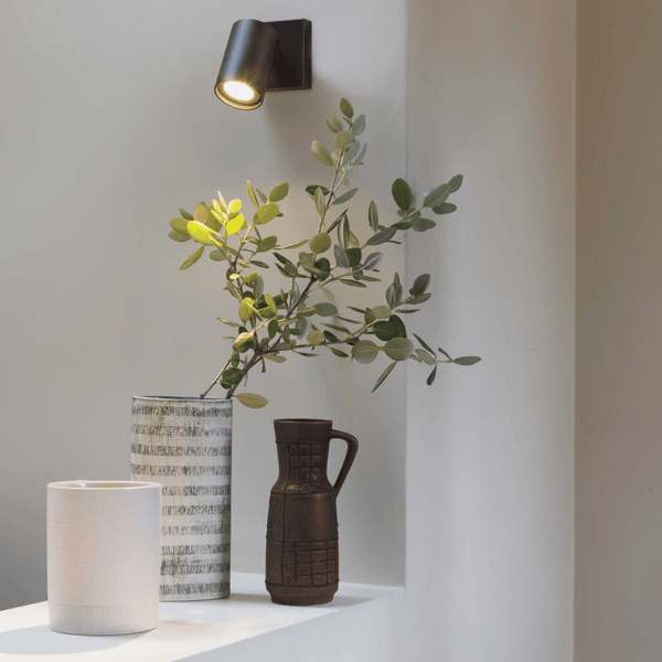 Ascoli Single — in situ