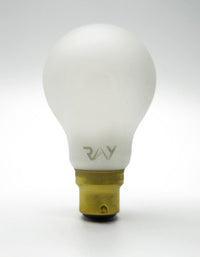 RAY GLS - B22